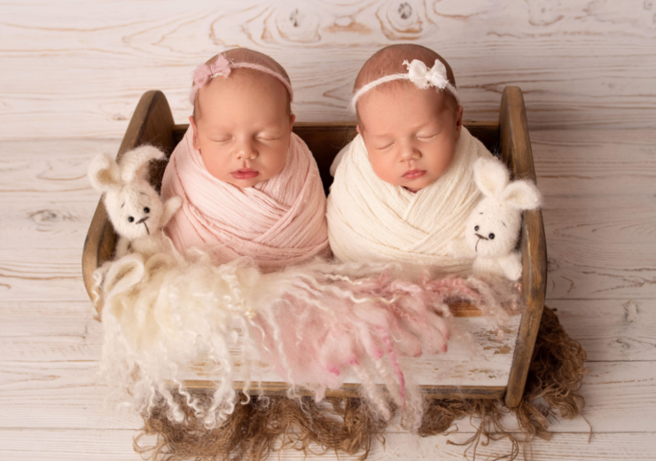 İstanbul İkiz Bebek Bakıcısı